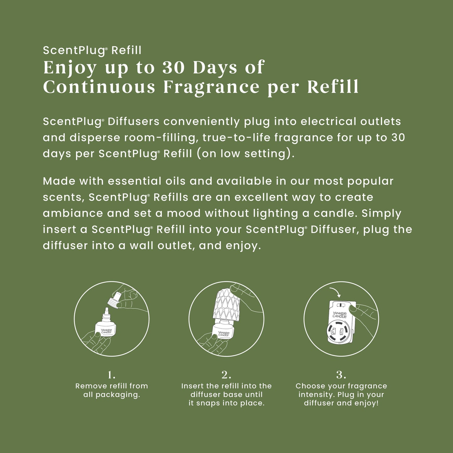 Balsam & Cedar ScentPlug® Refill